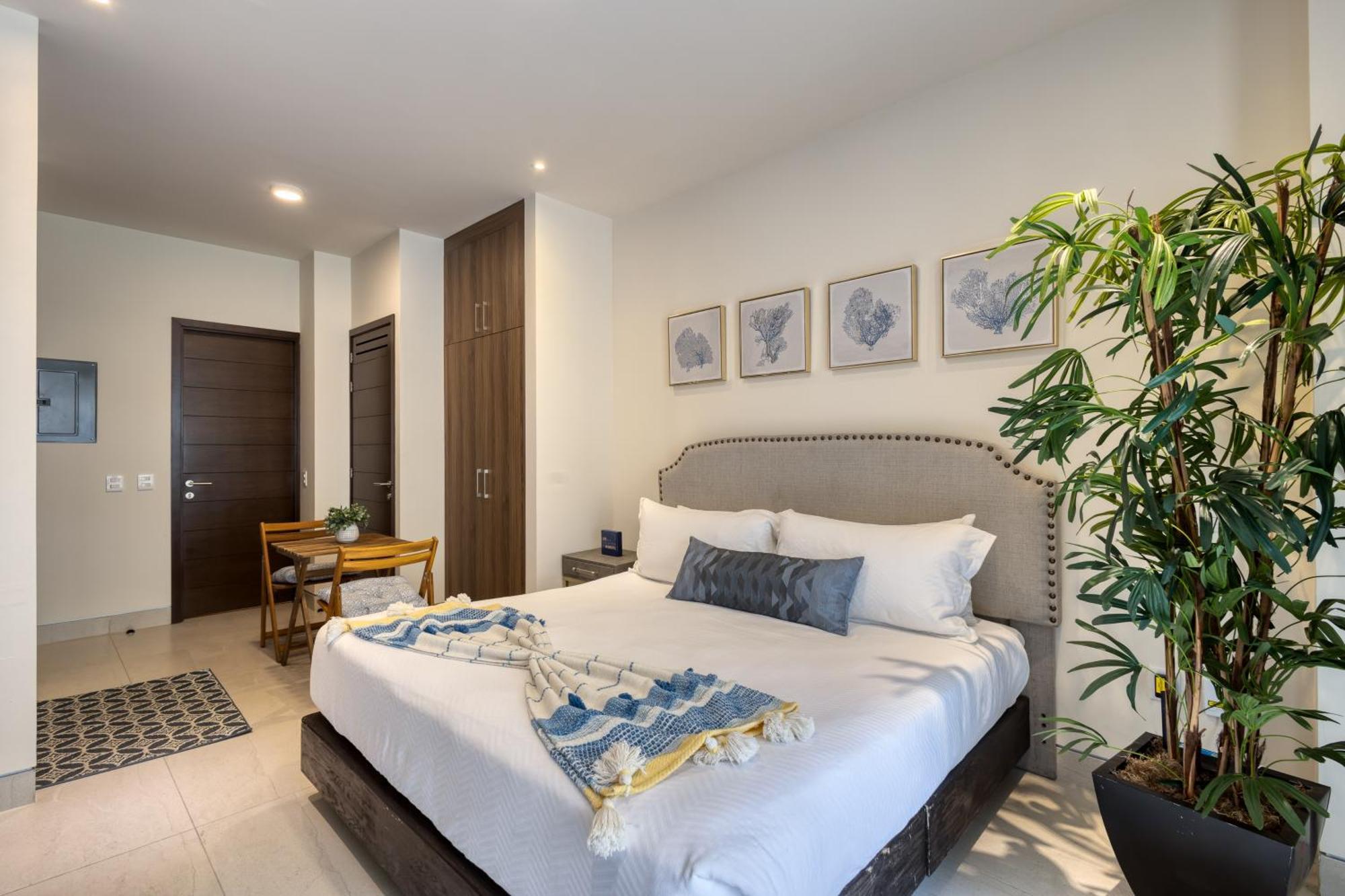 Vista Velas III 7203A 卡波圣卢卡斯 外观 照片